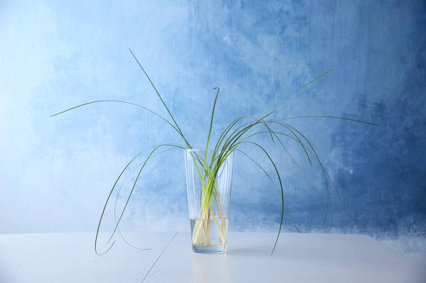 Glass vase with green plants - Foto, afbeelding