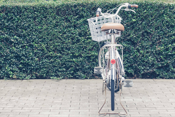 polkupyörän pysäköinti puistossa
 - Valokuva, kuva