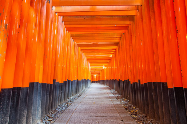 Thousands of vermilion torii gates - Photo, Image