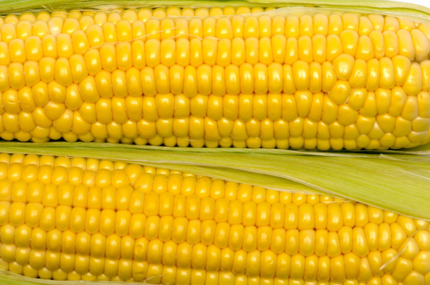 Keltaisten maissintähkien rakenne
 - Valokuva, kuva