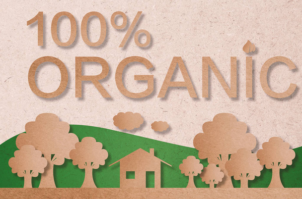 % 100 organik kavramı - Fotoğraf, Görsel