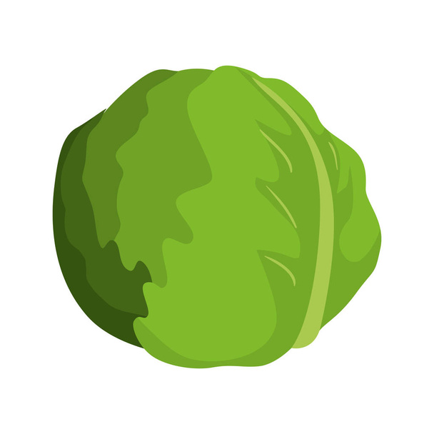 lechuga icono vegetal - Vector, imagen