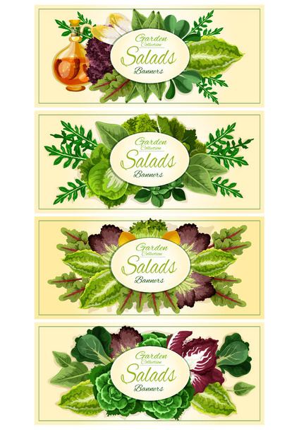 Fresh lettuce and green salad leaves banner set - Vector, Image