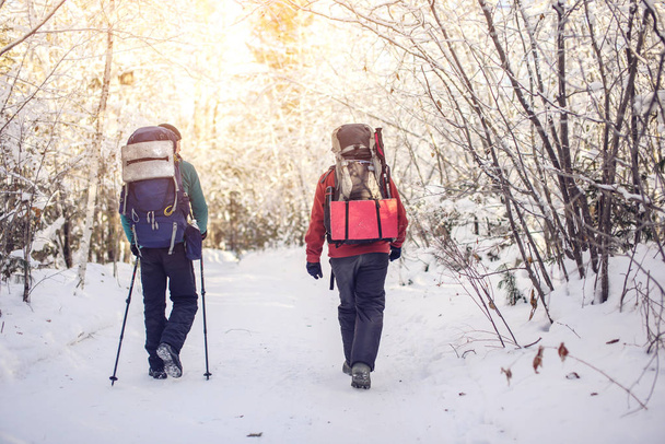 turystów pieszych chodzenia na zaśnieżonej drodze wśród drzew - Zdjęcie, obraz