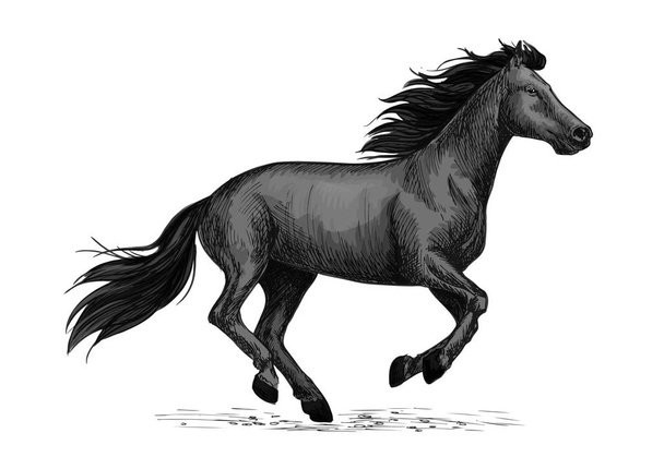 Μαύρο άλογο τρέχει σκίτσο για το σχεδιασμό των ιπποειδών - Διάνυσμα, εικόνα