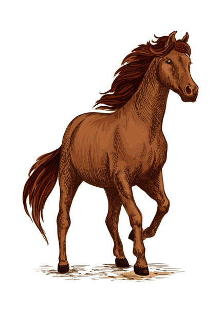 Running horse sketch with brown arabian stallion - Vector, Image