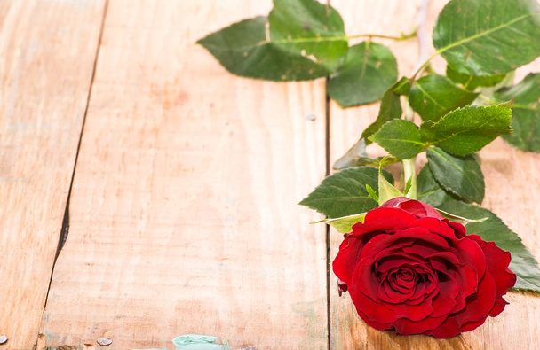 Red rose on wooden background, day valentines, card template with text space - Photo, image