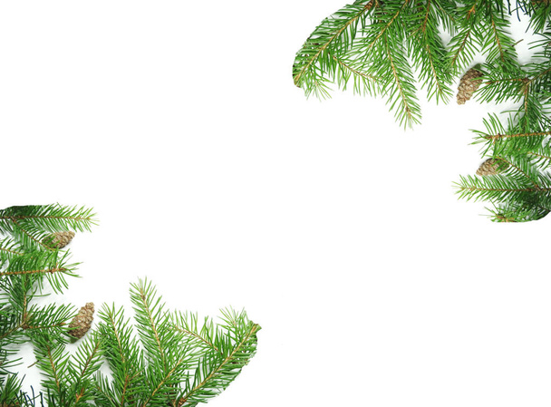 cadre de décoration de Noël avec branches et cônes de sapin
 - Photo, image