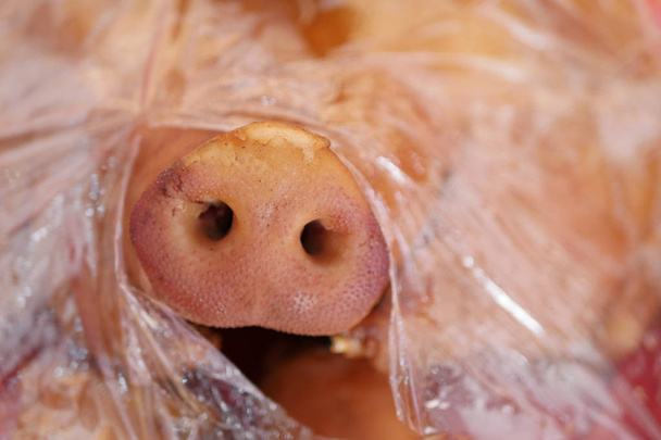 cabeça de porco embrulhada em folha de plástico, conceito de indústria de matadouro higiênico
 - Foto, Imagem