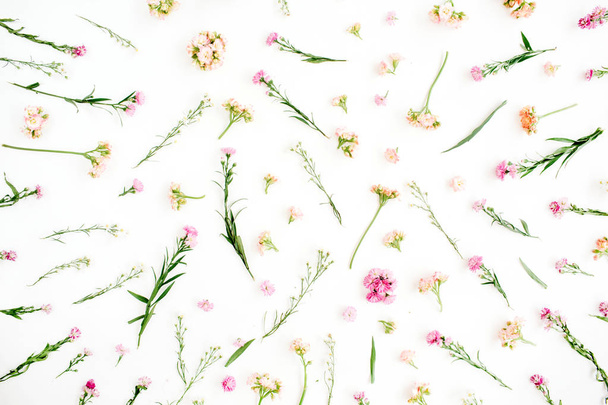 ピンクとベージュの野生の花の花のパターン - 写真・画像