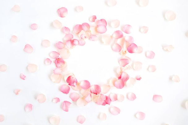 ピンクのバラの花びら - 写真・画像