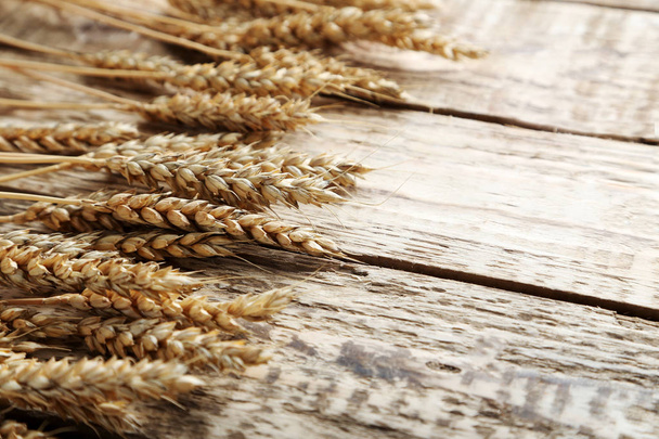 Ripe ears of wheat - Фото, зображення