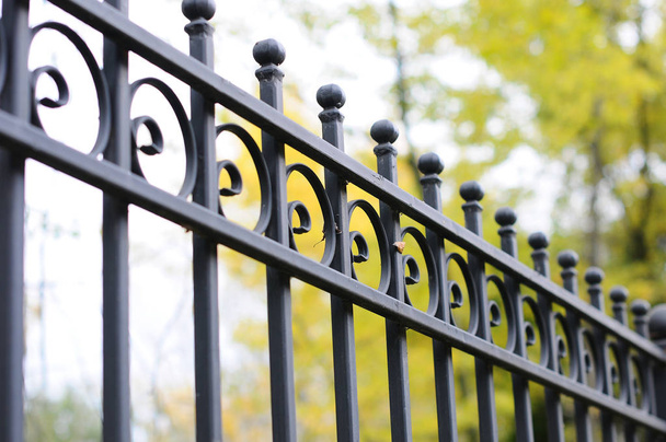 gyönyörű kovácsoltvas kerítés. Kép egy dekoratív öntött vas kerítés. fém kerítés - Fotó, kép