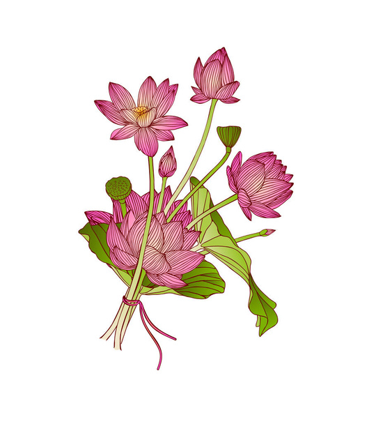 vector illustration of lotus flower bouquet - Vector, imagen