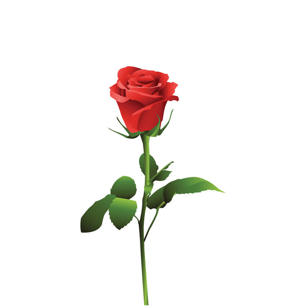 ウェブサイトのためのイラストのセット - ベクトルアイコンの花。要素6 赤いバラの花芽花園ギフト葉愛花びら植物の茎のWebit.Top - ベクター画像