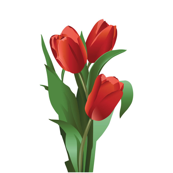 A set of illustrations for website - vector icons flowers. Element 9 tulips red flowers leaves bud bouquet present plant gift stem of Webit.Top - Vector, Image