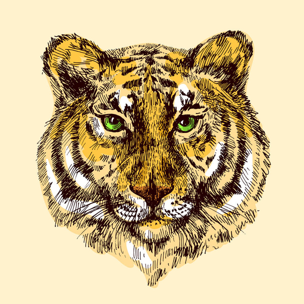 illustration with tiger - Vector, Image