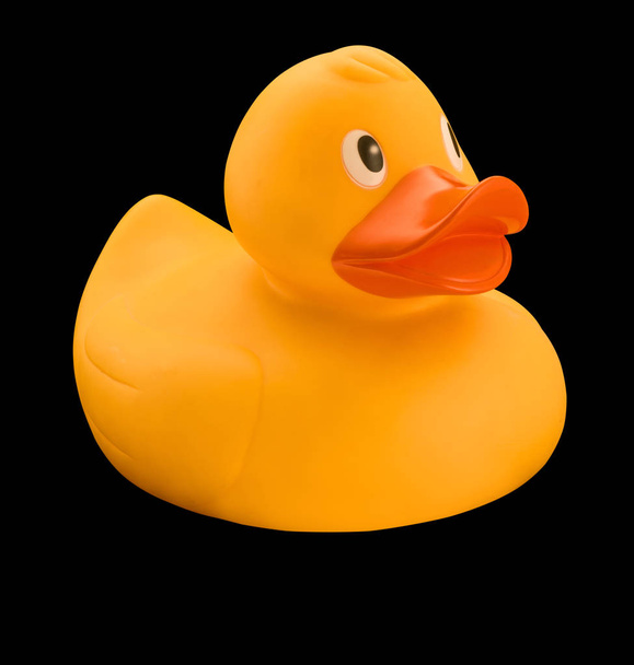 Isolated rubber duck on black background - Photo, Image