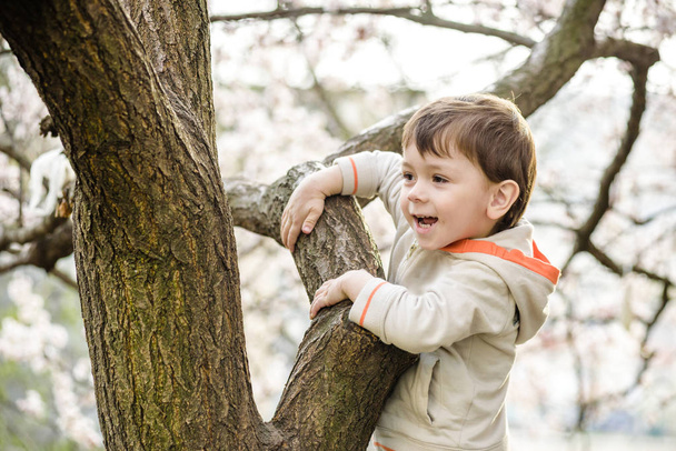 totyogó fiú tavaszi időben közel a blossom tree - Fotó, kép