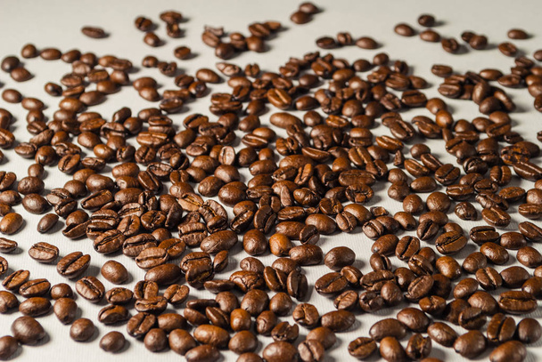 Coffebeans on Neutral Gray Background. Dark Roast Coffee.  - Photo, Image