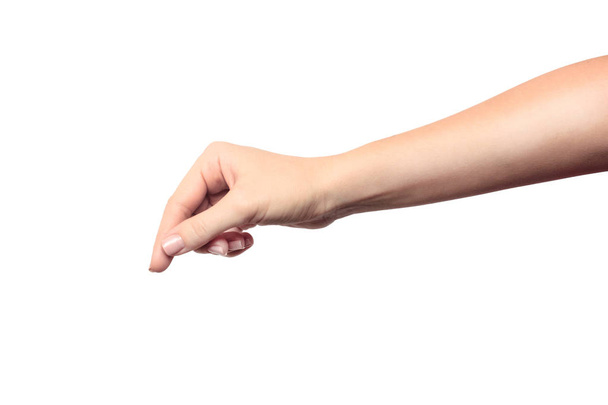 Beautiful female hand holding object isolated on white background - Foto, imagen