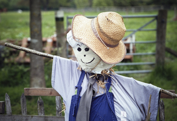 Stylish scarecrow with tie and hat - Foto, afbeelding