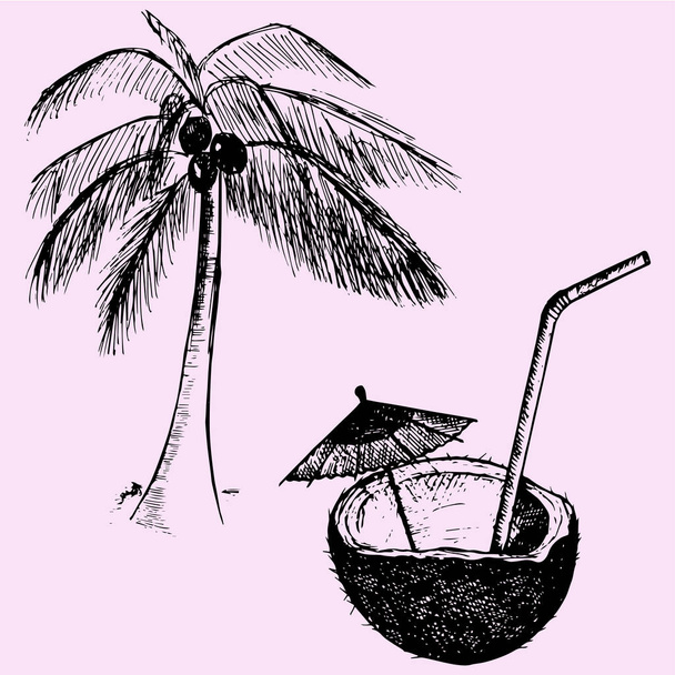 kokospalm, kokosnoot cocktail - Vector, afbeelding