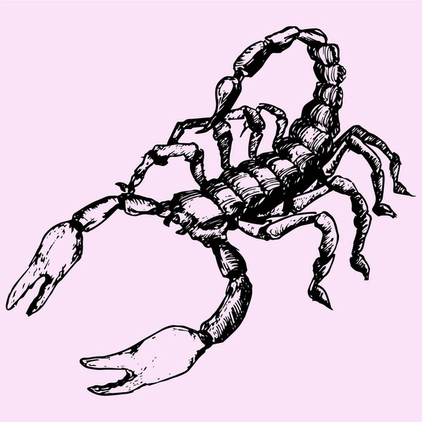 Скорпіон doodle стиль
  - Вектор, зображення
