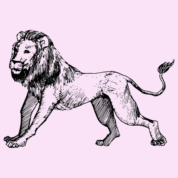 Sivunäkymä Leijona kävely
 - Vektori, kuva