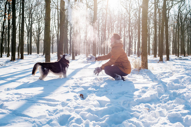 man playing with siberian husky dog in snowy park - Photo, Image
