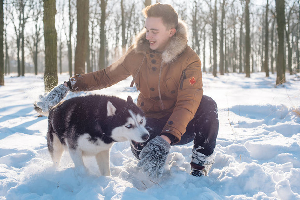 man playing with siberian husky dog in snowy park - Фото, изображение