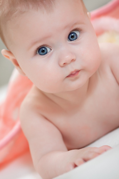 Portrait d'un bébé - Photo, image