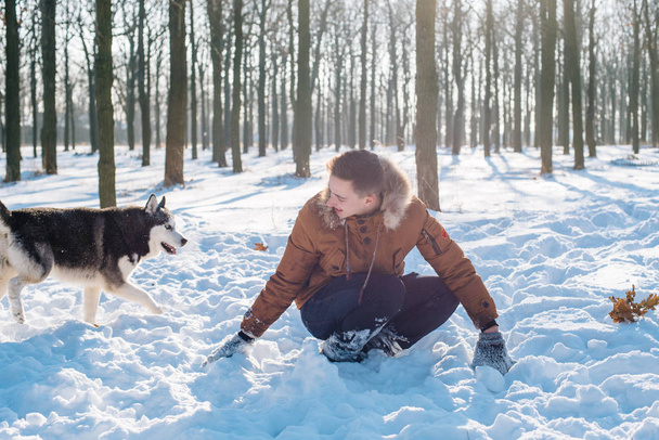 man playing with siberian husky dog in snowy park - Fotografie, Obrázek