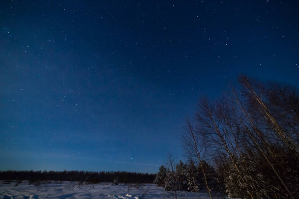 Winter night landscape with woods under starry sky - Fotografie, Obrázek