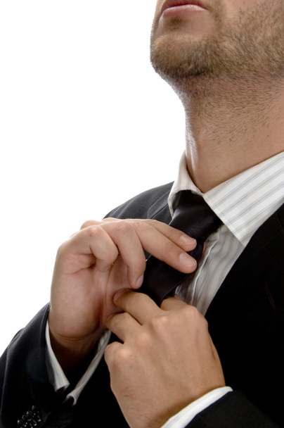 Businessman wearing tie - Fotografie, Obrázek