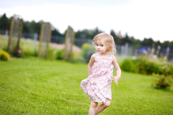 Adorable little girl in a meadow - Foto, imagen