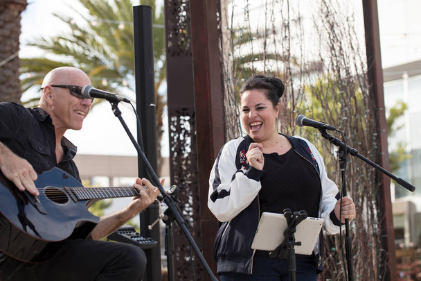 Music Duo Performing at an Outdoor Venue - Photo, Image