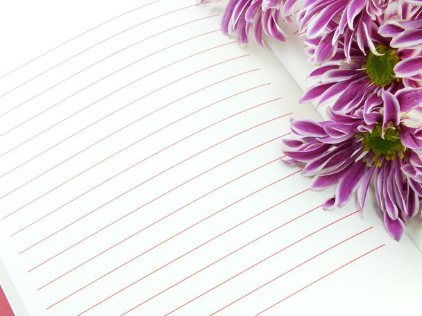 open notebook and beautiful chrysanthemums pink flowers bouquet - Фото, зображення