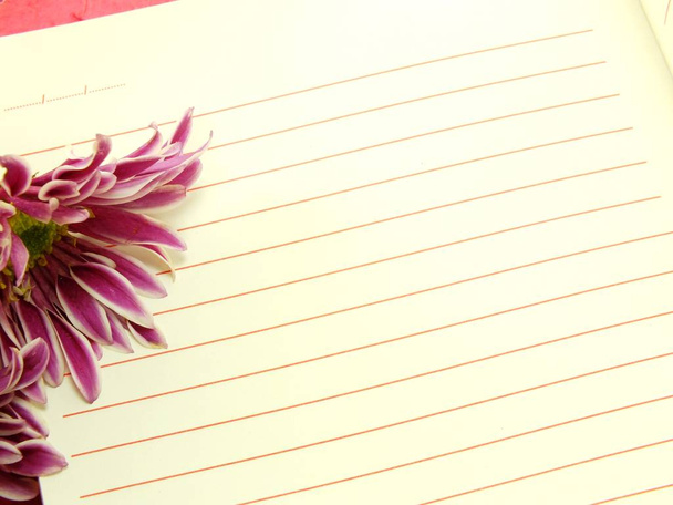 open notebook and beautiful chrysanthemums pink flowers bouquet - Foto, immagini