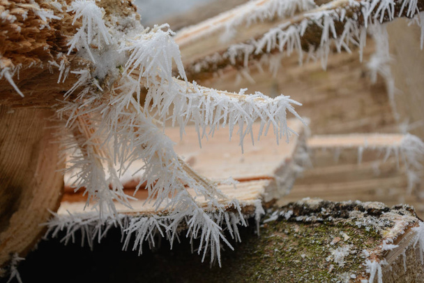 Cristales de hielo en el tronco del árbol - Hoarfrost
 - Foto, Imagen