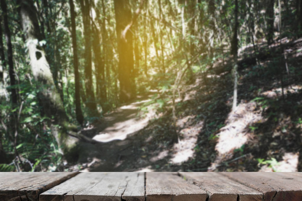 walkway in forest at Kew Mae Pan Nature Trail (Doi Inthanon Nati - Фото, зображення