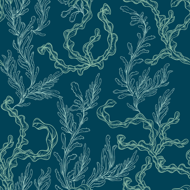 Deniz bitki, yaprak ve deniz yosunu topluluğu. Vintage seamless modeli el çekilmiş deniz flora ile. Vektör çizim satırı sanat tarzı. - Vektör, Görsel