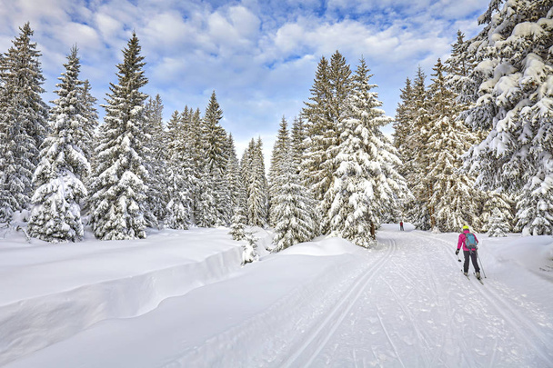 Зимний пейзаж с лыжными трассами и лыжником
. - Фото, изображение
