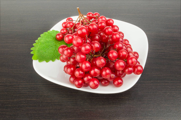 Вібурнум з червоними ягодами
  - Фото, зображення