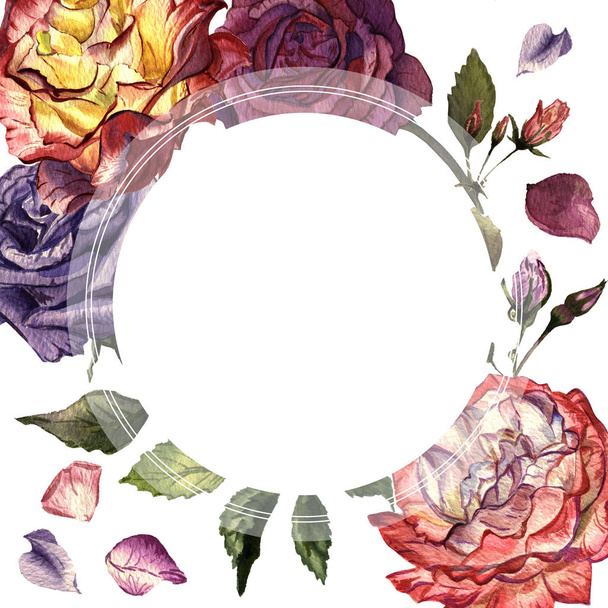 Wildflower rose flower frame in a watercolor style isolated. - 写真・画像