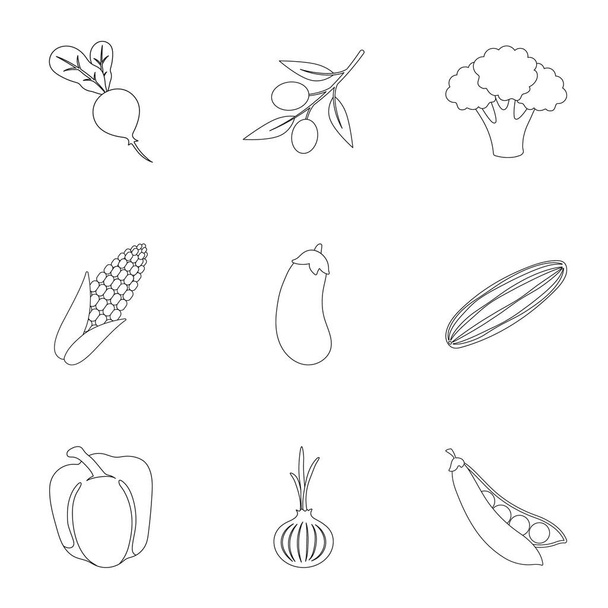 Vegetables set icons in outline style. Big collection of vegetables vector symbol stock illustration - Vettoriali, immagini