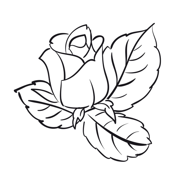 Blooming roses - Vector, Image