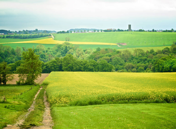Βέλγιο αγροτικό τοπίο - Φωτογραφία, εικόνα