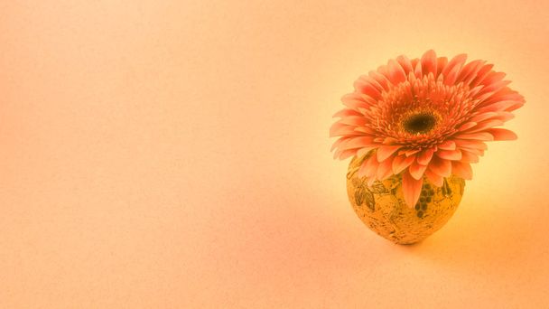 κάρτα με ζέρμπερες λουλούδι σε ένα μικρό βάζο για Συγχαρητήρια wit - Φωτογραφία, εικόνα