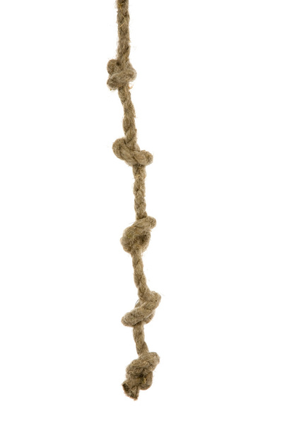Variants of the rope with node on white - Zdjęcie, obraz